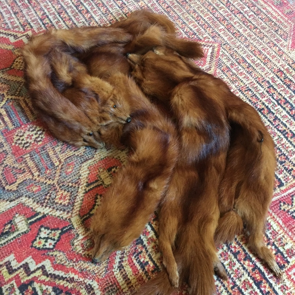 Vintage George Benioff fur stole